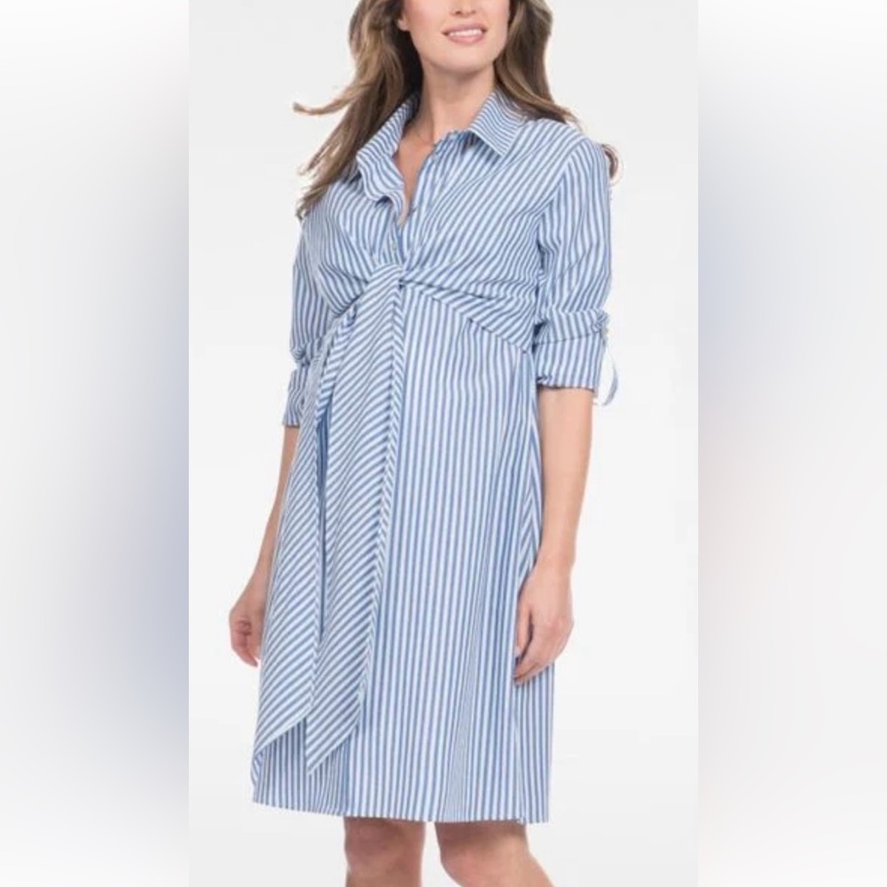 Crisp blue and white maternity/nursing shirtdress from Seraphine (sz 4)